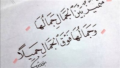اجمل عبارات عن الجمال والاناقة