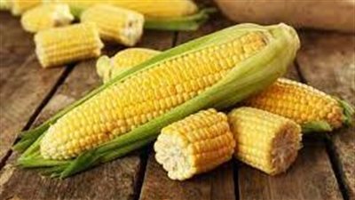 ما هو تفسير أكل الذرة في المنام ؟