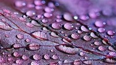 تفسير حلم المطر للمتزوجه لأبن سيرين