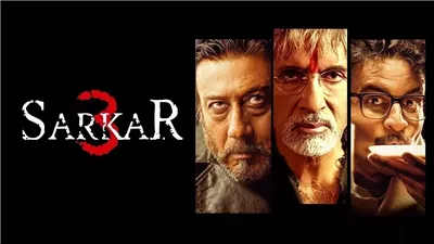 قصة الفيلم الهندي Sarkar 3