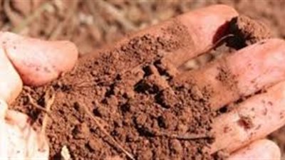 أنواع التربة الزراعية