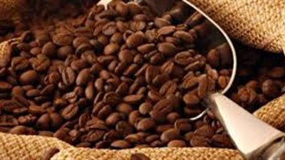 افضل طريقة لزراعة البن