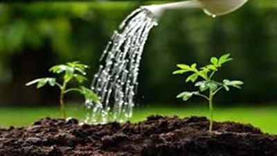 تعرف علي مكونات التربة الزراعية