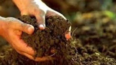 بحث حول مكونات التربة