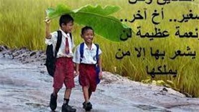 أجمل حكمة عن الصداقة