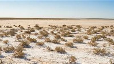 ما أسباب تملح التربة