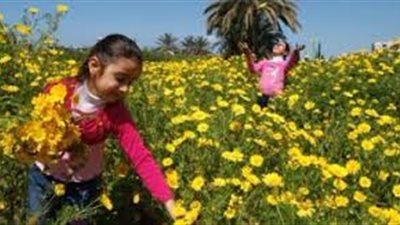 متى يبدأ فصل الربيع ؟