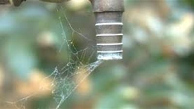 حلول لمشكلة المياه في الوطن العربي