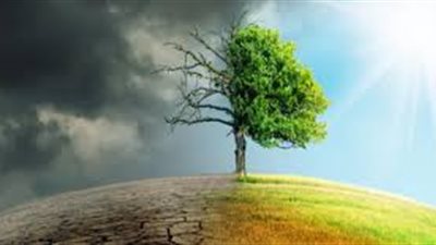 تأثير التغير المناخي على البيئة