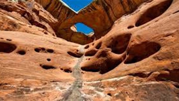 موقع أيام نيوز