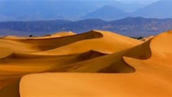 موقع أيام نيوز