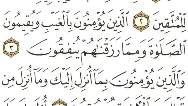 موقع أيام نيوز