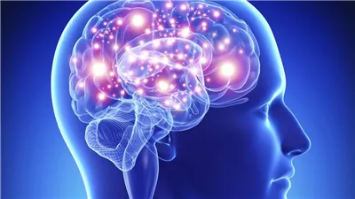 كل ما تريد معرفته عن أين يقع عقل الإنسان