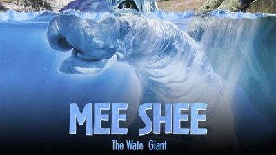 قصة فيلم Mee-Shee: The Water Giant