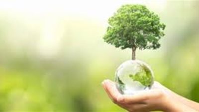 كيف نحافظ على الموارد الطبيعية
