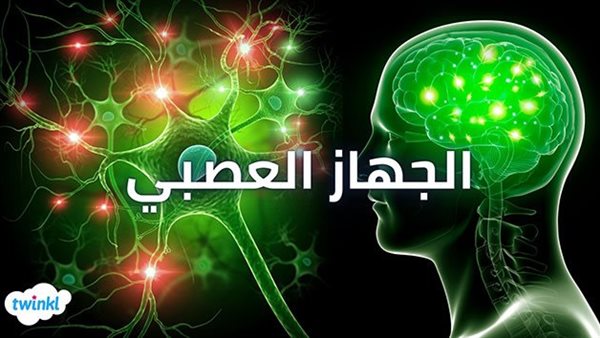 موقع أيام نيوز