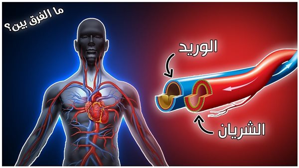 موقع أيام نيوز