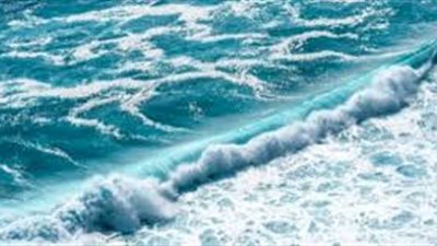 ما الفرق بين المياه العذبة والمياه المالحة