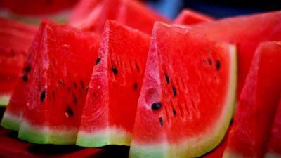 تفسير رؤية الحبحب في المنام لابن سيرين