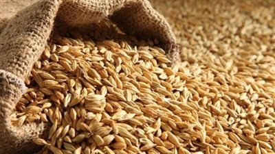 حساسية القمح: الأسباب والأعراض والعلاج