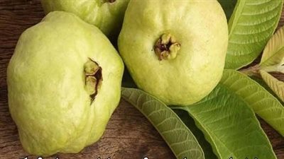 7 اسرار في الجوافة تجبرك على تناولها باستمرار التفاصيل > أول تعليق