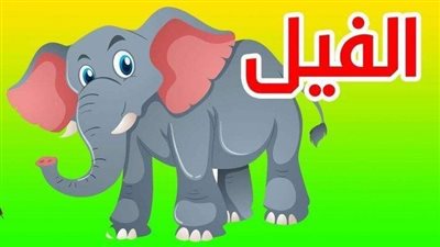 الفيل: أكبر الحېۏانات الأرضية وأكثرها ذكاءً