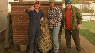 قصة فيلم The Nugget