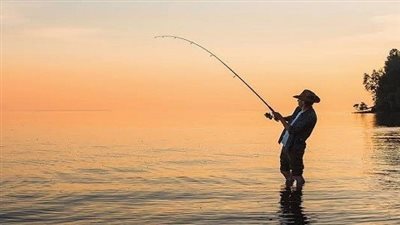 تفسير حلم صيادة السمك لأبن سيرين