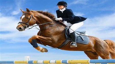ما هو تفسير حلم ركوب الخيل ؟