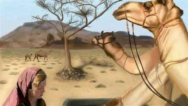 موقع أيام نيوز
