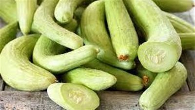 كل ما تريد معرفتة عن القثاء 