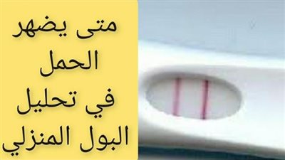 هرمون الحمل في البول: متى يظهر ؟
