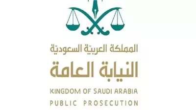 اختلاط وظائف النيابة العامة: هل هو ضروري أم ضار؟