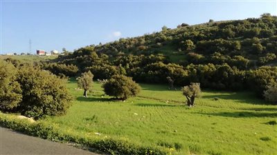 قرية أردنية ذات تاريخ عريق ومستقبل واعد