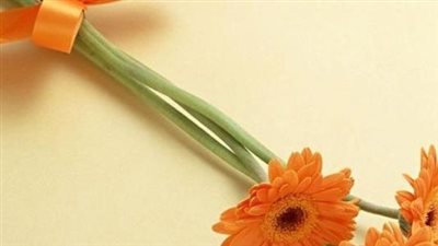جمل معبّرة