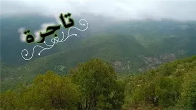 طريقك إلى عالم التجارة: من الصفر إلى القمة