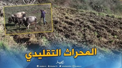 ماذا تسمى حديدة المحراث؟