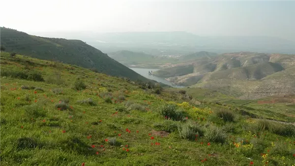 موقع أيام نيوز