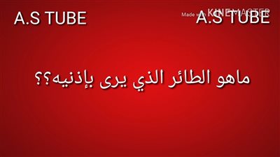 طائر الخفاش: الطائر الذي يرى بأذنيه