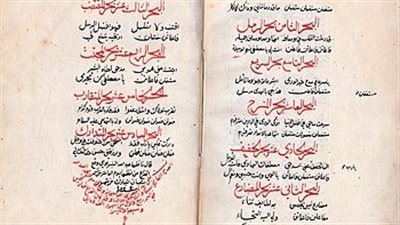 موقع أيام نيوز