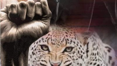 في_قبضه_فهد   هاله زين