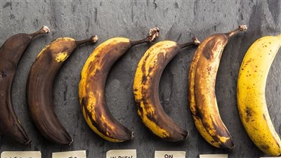 How to keep bananas fresh for longer