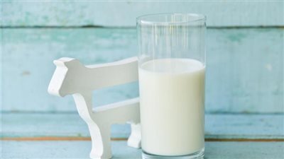 Milk: Cow's Milk vs. Plant-Based Milk