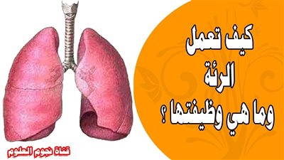 ما هي ۏظيفة الرئتين في الإنسان؟