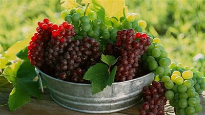 The Amazing Benefits of Grapes for Pregnant Women