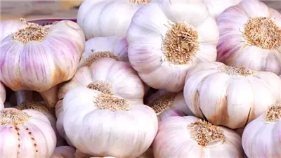 How to Tell if Garlic is Rotten