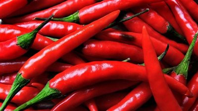What Happens to Kids When They Eat Spicy Food