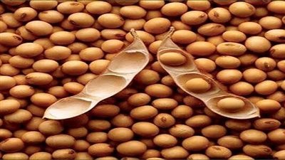 طريقة عمل فول الصويا