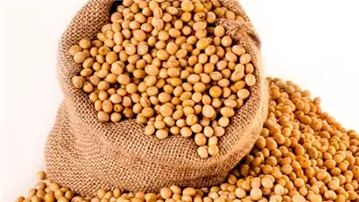 How to Cook Soybeans