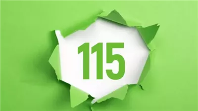 الرقم 115 : الرمز الرسمي للبيانات